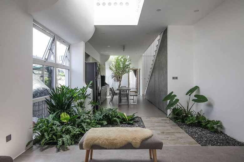 Cách trang trí cây cảnh trong nhà chuẩn phong thủy
