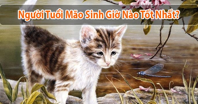 Tuổi Mão sinh giờ nào tốt? - Gợi ý giờ sinh tốt cho người tuổi Mão