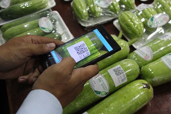In tem truy xuất nguồn gốc chất lượng, giá rẻ và uy tín tại TPHCM