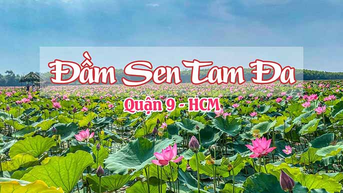 Top 5 địa điểm du lịch sài gòn 1 ngày OK nhất