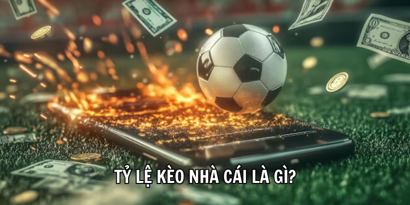 Khám Phá Thông Tin A - Z Về Tỷ Lệ Kèo Nhà Cái Hiện Nay