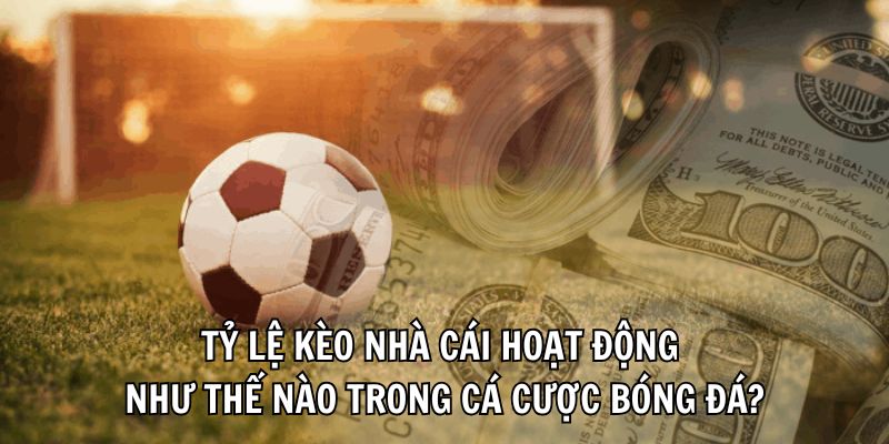 Khám Phá Thông Tin A - Z Về Tỷ Lệ Kèo Nhà Cái Hiện Nay