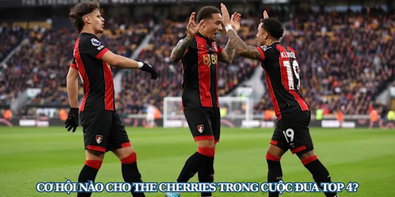 Bournemouth - Chú Ngựa Ô Tại Giải Premier League 2024/25