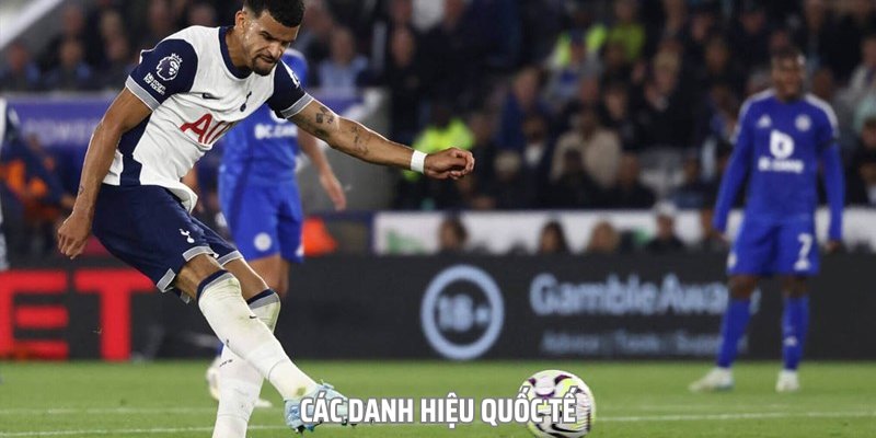 Tiểu Sử Của Dominic Solanke Đang Thi Đấu Tại Premier League