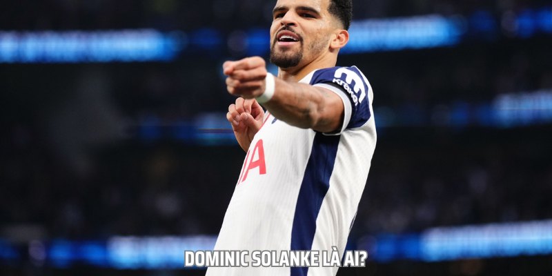 Tiểu Sử Của Dominic Solanke Đang Thi Đấu Tại Premier League