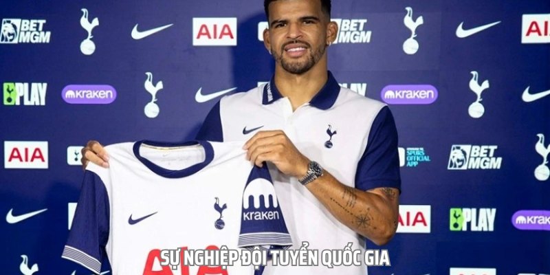 Tiểu Sử Của Dominic Solanke Đang Thi Đấu Tại Premier League