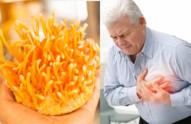 Top 5 Tác Dụng Đông Trùng Hạ Thảo Giúp Tăng Cường Sức Khỏe Hiệu Quả