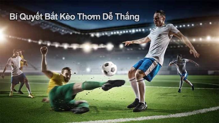 Bí quyết bắt kèo thơm dễ thắng: Kinh nghiệm từ dân chơi lâu năm