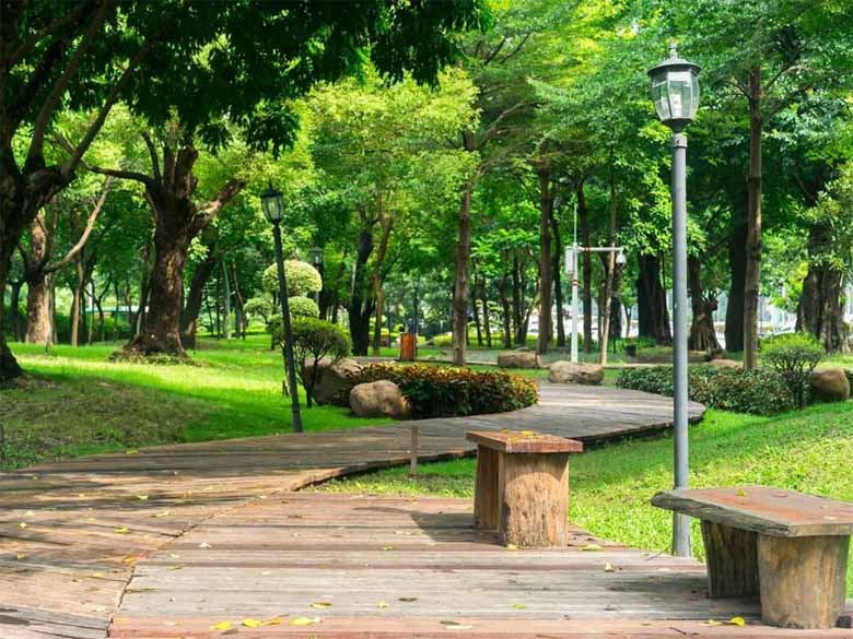 Công viên Lê Thị Riêng ở đâu? Khám phá địa điểm xanh giữa Sài Gòn