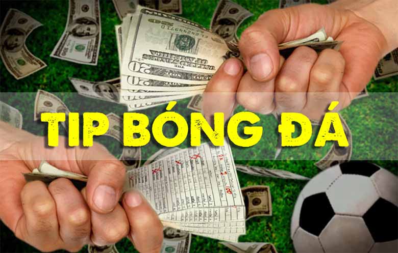 Tip bóng đá là gì? Toàn tập kiến thức giúp bạn tránh bẫy khi chơi cá cược