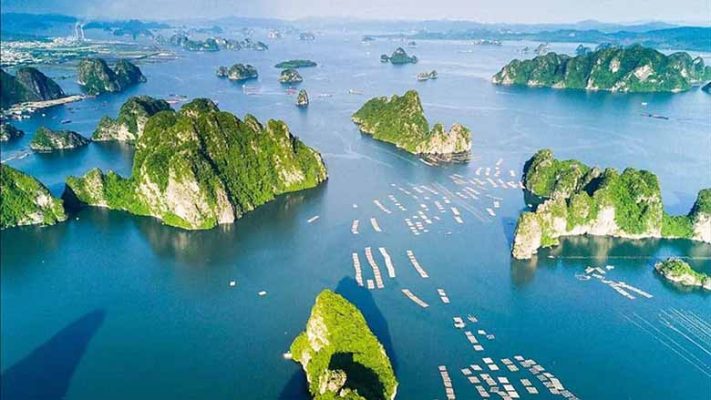 Cẩm nang chi tiết cho chuyến du lịch Quảng Ninh 3 ngày 2 đêm cho mẹ bỉm sữa