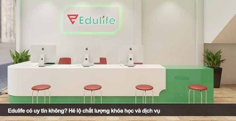Edulife có uy tín không? Hé lộ chất lượng khóa học và dịch vụ