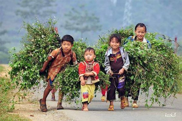 Top 5 Hoạt Động Thiện Nguyện Ý Nghĩa Nhất Không Nên Bỏ Qua