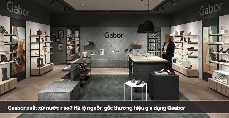 Gaabor xuất xứ nước nào? Hé lộ nguồn gốc thương hiệu gia dụng Gaabor