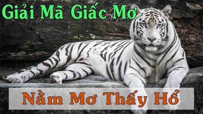 Nằm mơ thấy hổ đánh số gì?